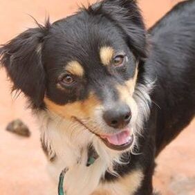 Happy Idefix, April 2014