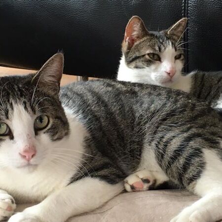 Crispino und Nikolas