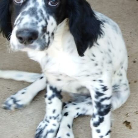 Samu