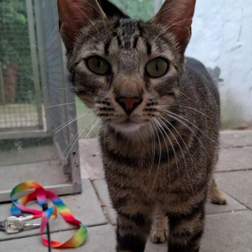 Eduardo