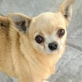 Betty