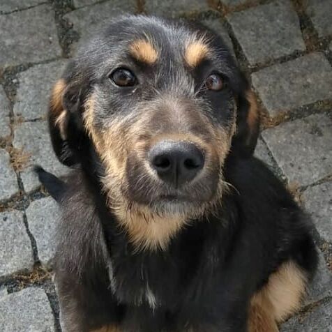 Mia