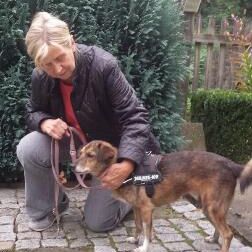 Happy End Myrthle, Oktober 2016