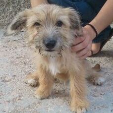 Happy Luz, Sept. 2012