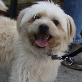 Happy Coco, Juli 2014