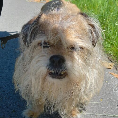 Trudi