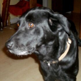 Happy Polly, Jan. 2012