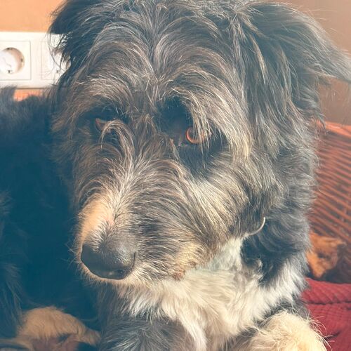 Eddie