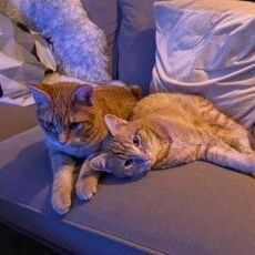 Ramon und Ron