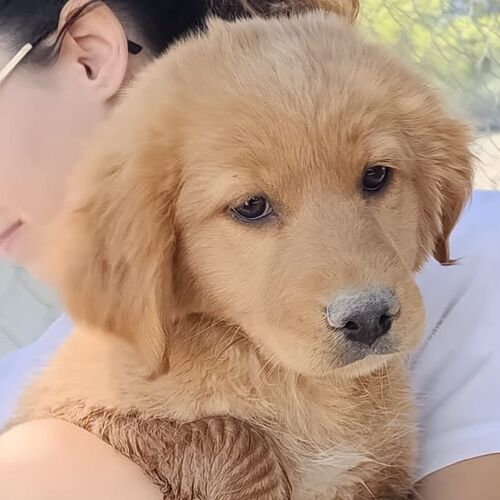Freya