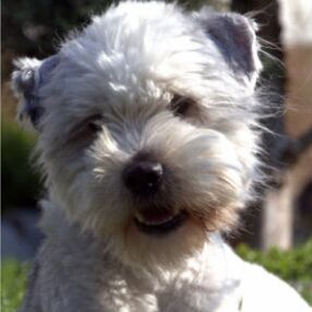 HappyArchie, April 2014