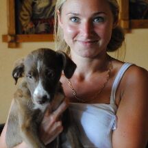 Happy Holly, Aug. 2014
