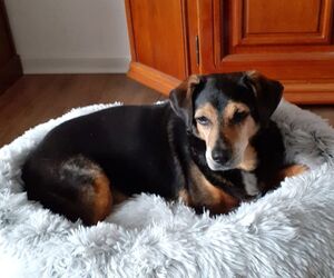 In Gedenken an Woody