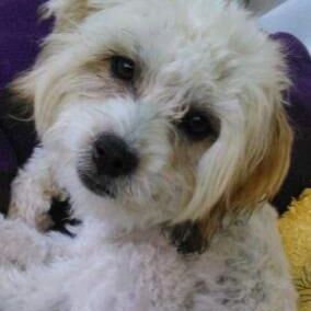 Happy Sasha, Aug. 2014