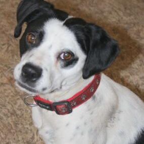 Happy Frieda, April 2012